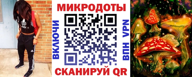 сколько стоит  Ардон  Псилоцибиновые грибы GOLDEN TEACHER 