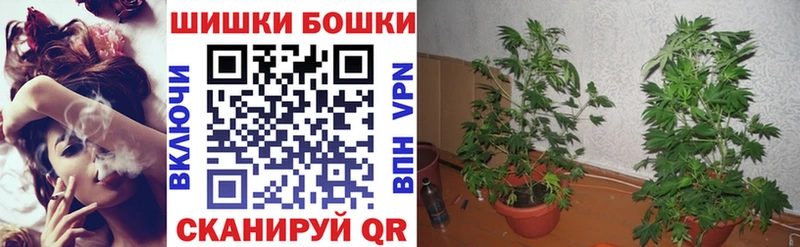 Шишки марихуана ГИДРОПОН  купить наркотики сайты  Ардон 